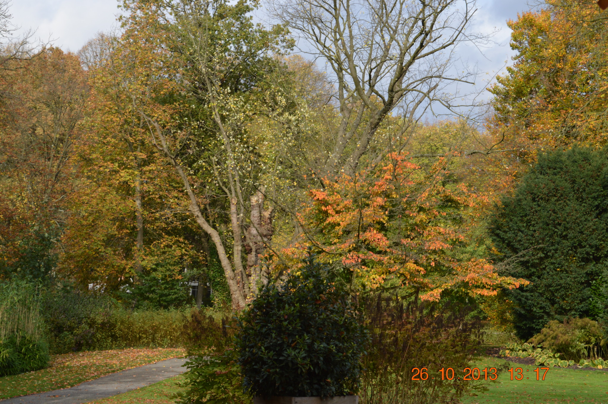 herfst